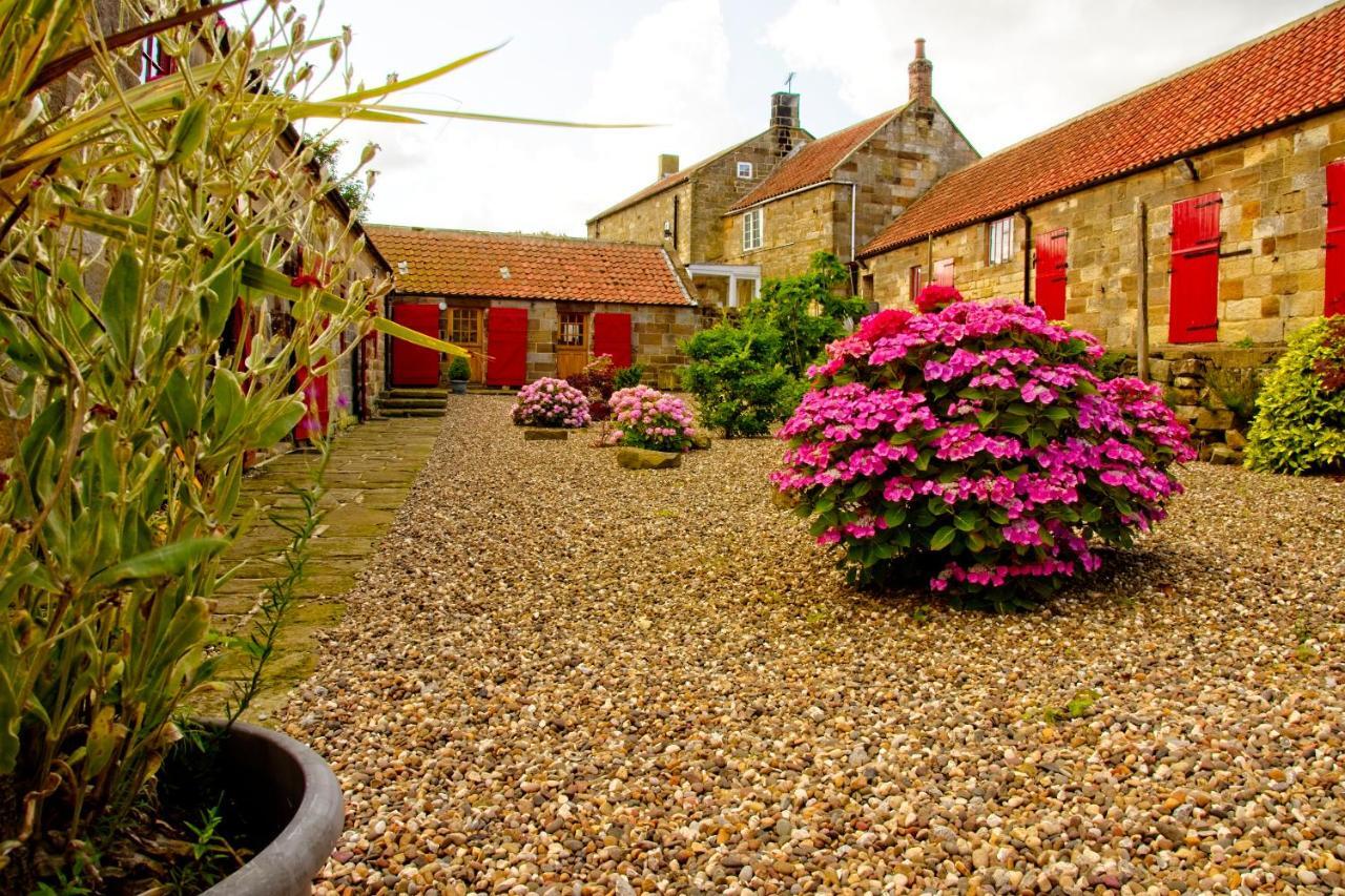 Rosecombe, Borrowby Farm Cottages Staithes Luaran gambar